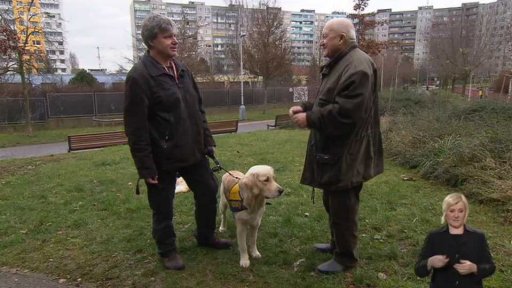 Asistenční psi – Liga vozíčkářů