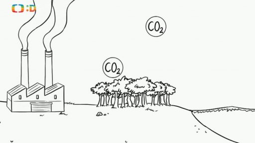 Nápověda: Rostliny jako žrouti oxidu uhličitého