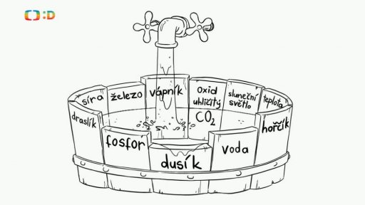 Nápověda: Co potřebují rostliny pro svůj růst?