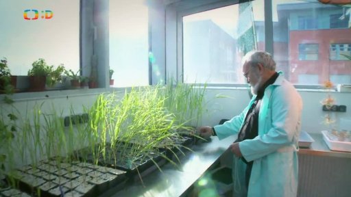 Pátrání: Jaderné katastrofy