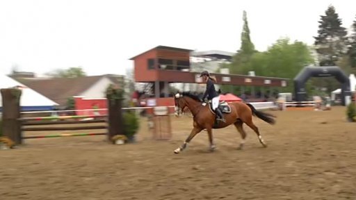 Finále AMATEUR TOUR 2015 - 110 cm