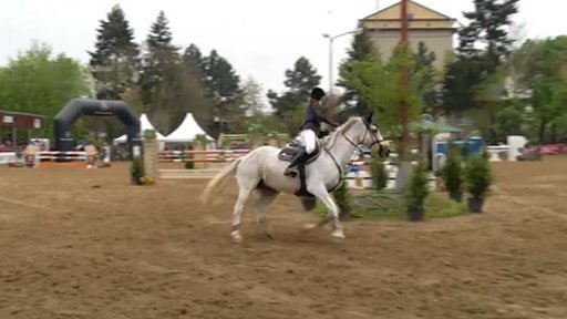 Finále CZECH JUNIOR CUP 2015 - 120/125 cm