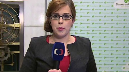 Strana Zelených vybírá nové vedení