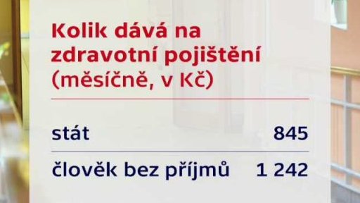 Kolik kdo platí do zdravotnictví