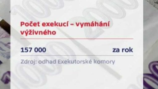 Neplacení alimentů