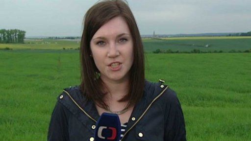 Pád maďarského gripenu v Čáslavi