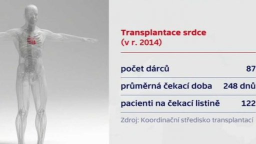 Víc dárců, víc transplantací