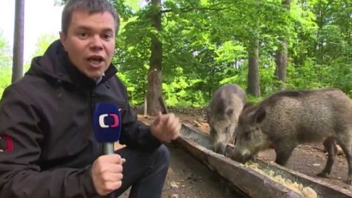 Neschválené maso v jídelníčku