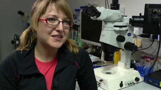 Ocenění pro mladé vědce