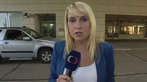 Kontroly kvůli uprchlíkům