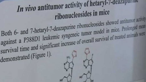 Speciální grant pro české vědce