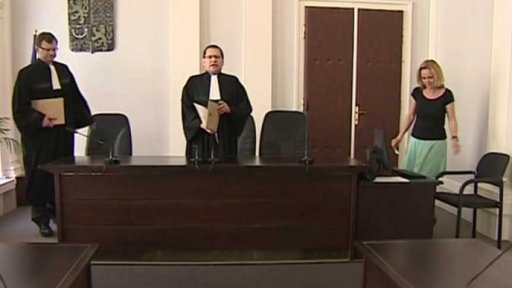 Exekuce u Ústavního soudu