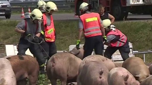 Peníze pro hasiče za úklid nehod