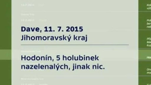 Vyprahlé lesy a prázdné koše houbařů