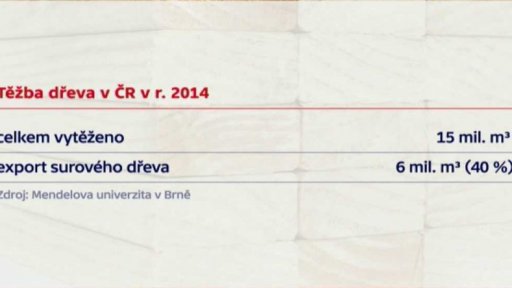 Dřevo pod mikroskopem