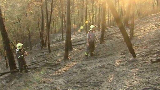 Požáry kvůli horku a suchu