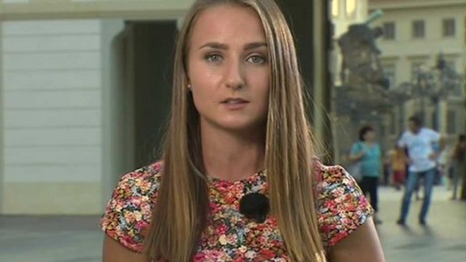 Schůzka prezidenta s premiérem