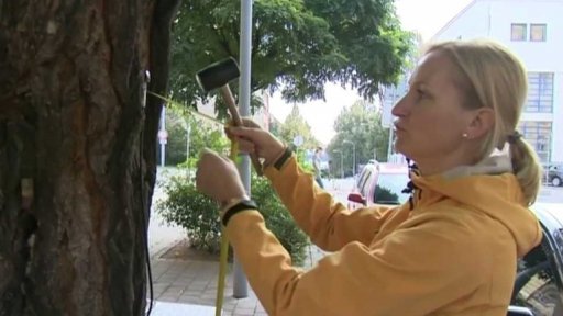 Tomograf zjišťuje stav stromů