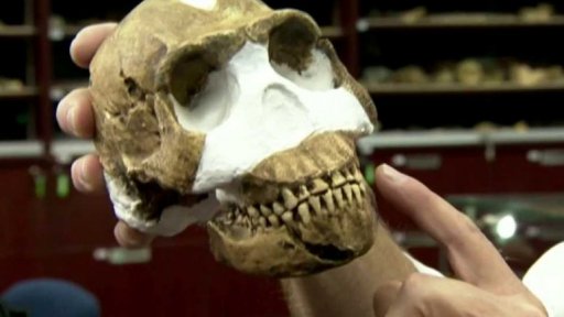 Homo Naledi: nejstarší předchůdce lidstva