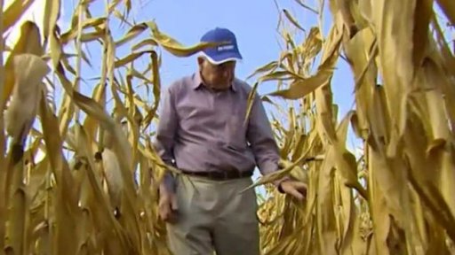 Rekordní sucho v Polsku