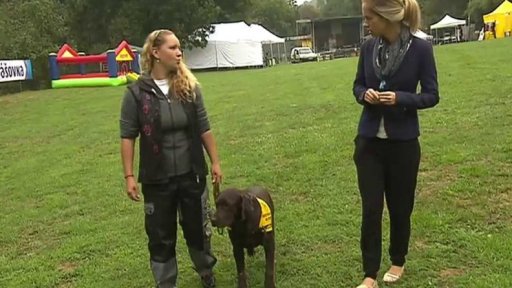 Speciálně vycvičení psi