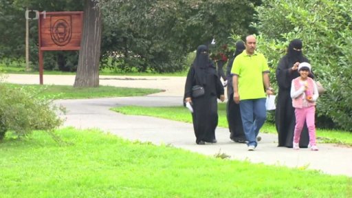 Muslimové vs. Češi