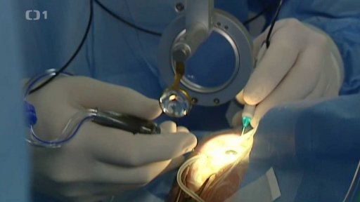 Nová naděje pro diabetiky