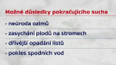 Dopady sucha