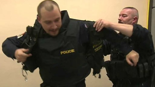 Posílení policejních řad