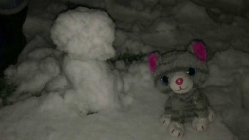 Komplikace kvůli prvnímu sněžení