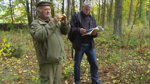 Úmyslné ničení stromů