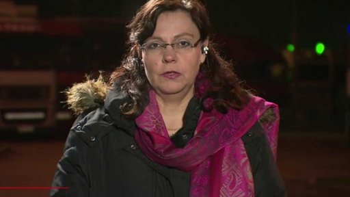 Pracovní víza pro cizince