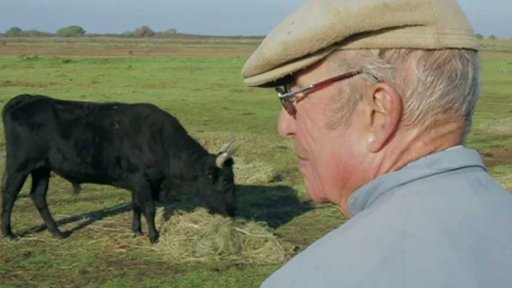 Vliv klimatických změn