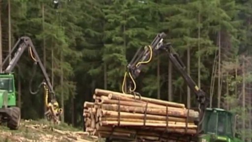 Kůrovec na Šumavě