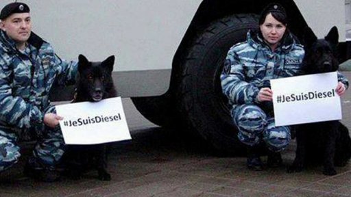 Nástupkyně fenky Diesel