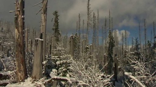 První sníh na horách