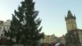 Vánoční strom v Praze