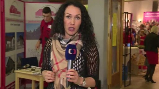 Pracovní zkušenosti českých vysokoškoláků