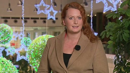 Den volna a česká ekonomika