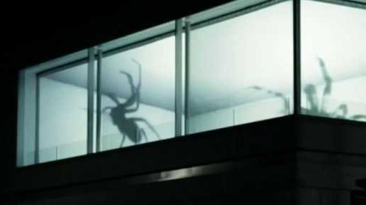 Světlem roztančený les