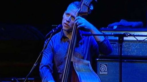 Izraelský basista Cohen v Rudolfinu