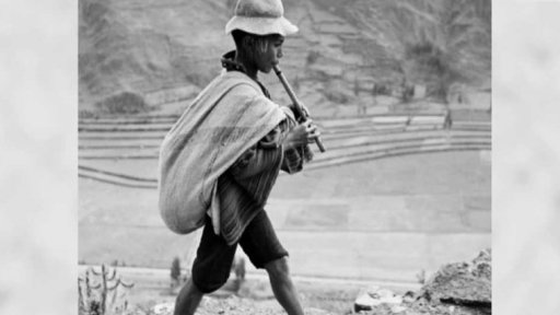 Pocta Werneru Bischofovi