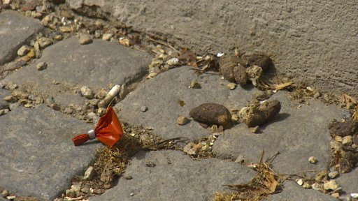 Přibývající počty psů způsobují problémy v malých obcích Vysočiny.