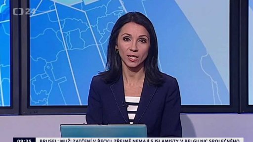 Zpravodajský servis