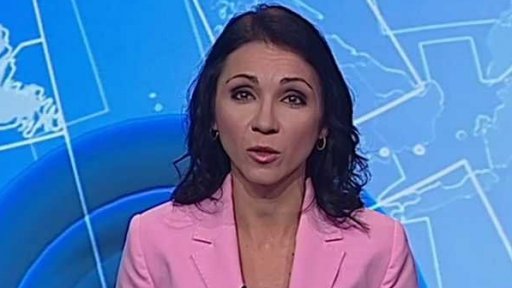 Zpravodajský servis