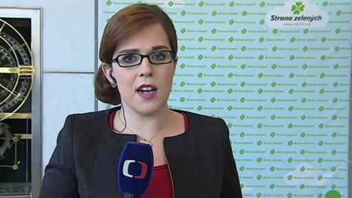 Strana zelených volí nové vedení