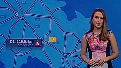 Zpravodajský servis