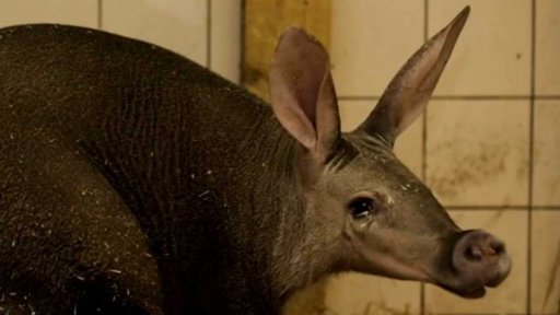 Pozvánky na víkend