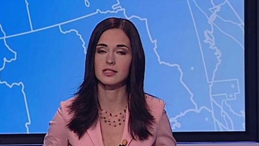 Zpravodajský servis