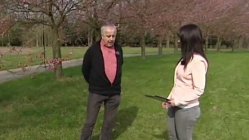 Sakury v Průhonickém parku